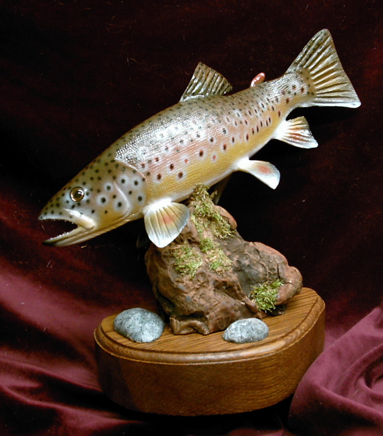 Browntrout16.JPG